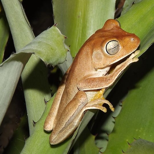 Área de Proteção Ambiental Carste da Lagoa Santa