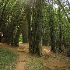 Parque nacional de Nam Nao