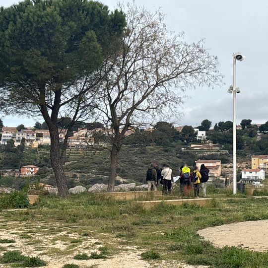 Punto di vista panoramico