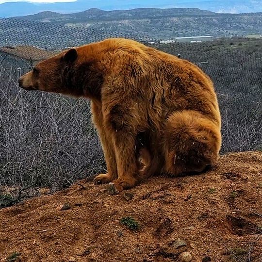 Out of Africa Wildlife Park