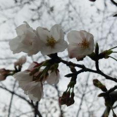 明美の里公園