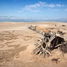 El Fangar i Platja de la Marquesa