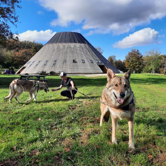 La Pyramide du Loup