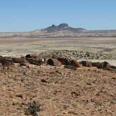 Bosques Petrificados de Jaramillo National Park