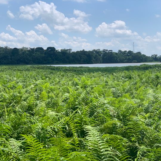 Owabi Wildlife Sanctuary