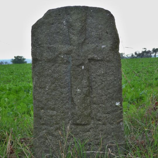 Křížový kámen u okraje cesty u České Doubravice