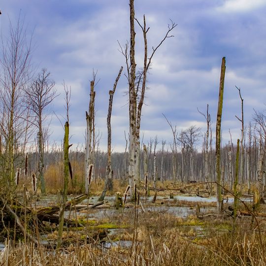 Poratzer Moränenlandschaft