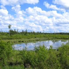 Nature reserve Bielawa