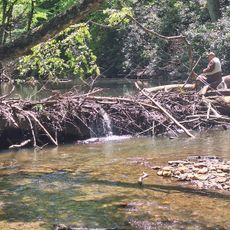 Crooked Creek Wildlife Management Area