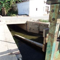 Llengües del Palmar-Calvet