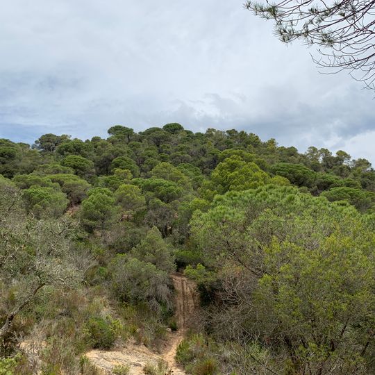 Puig de Sobre Montllor