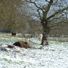 Church Farm Marshes