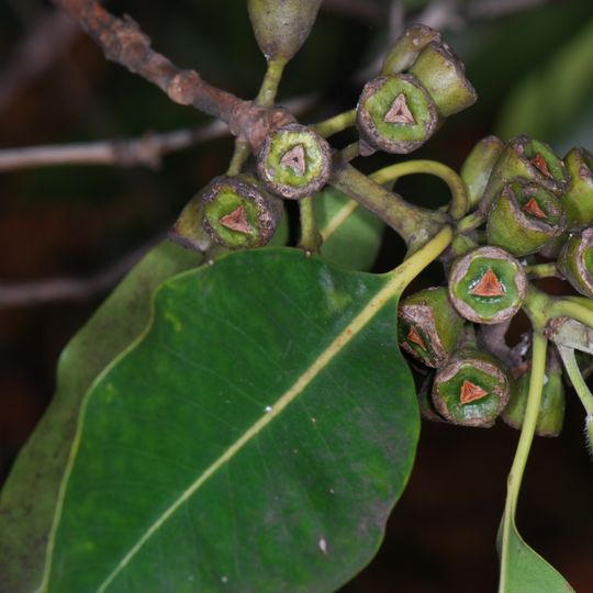 Tuchekoi National Park