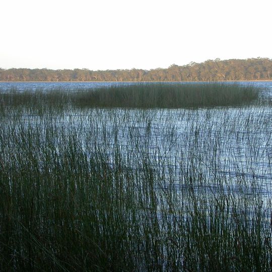 Yuraygir National Park