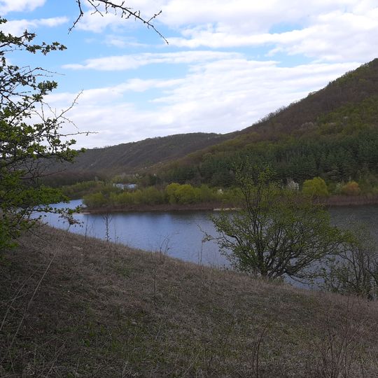 Трибухівський ліс