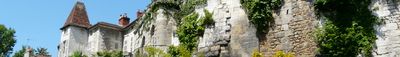 Panoramic View 1