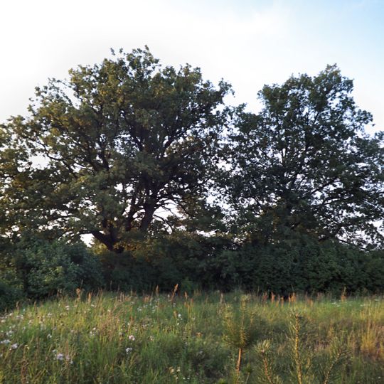 Cmentarz katolicki w Milczu