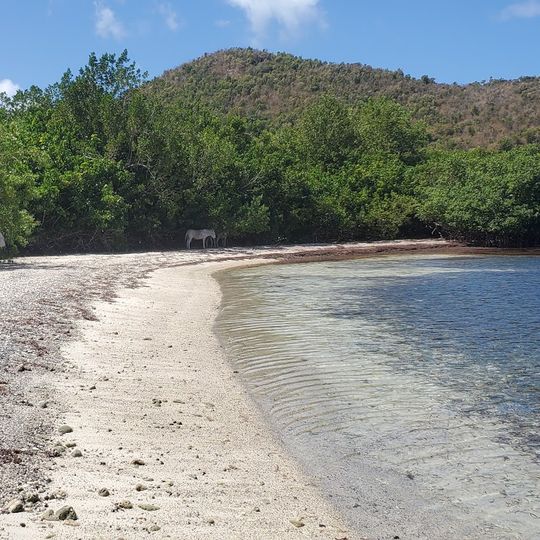 Saint Mary's Creek Beach