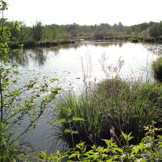 La Truchère-Ratenelle