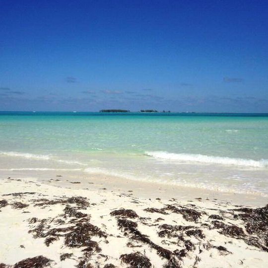 Cayo Guillermo