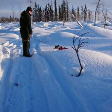 Sukerijärvi Strict Nature Reserve