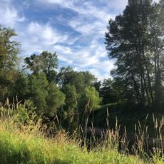 Cottonwood Grove Park