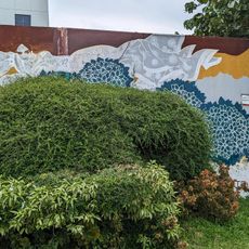 Lady in the Mangrove
