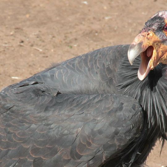 Bitter Creek National Wildlife Refuge