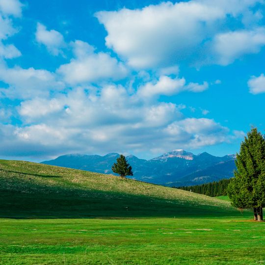 Foresta del Cansiglio