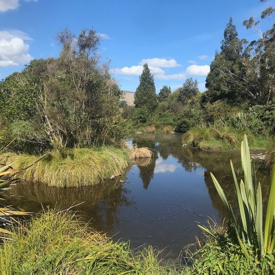 Pohangina Wetlands
