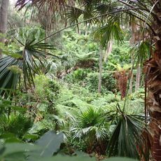 Dark Gully Park