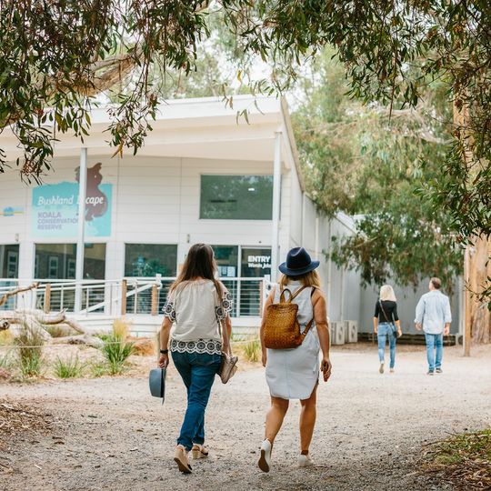 Koala Conservation Reserve