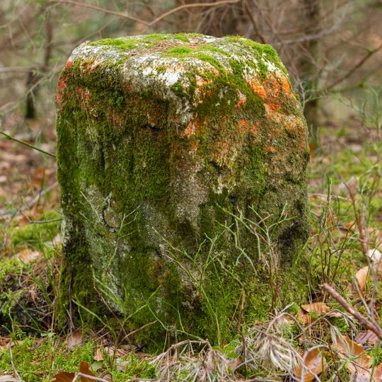 Grenzstein Fürther Stadtwald in Zirndorf