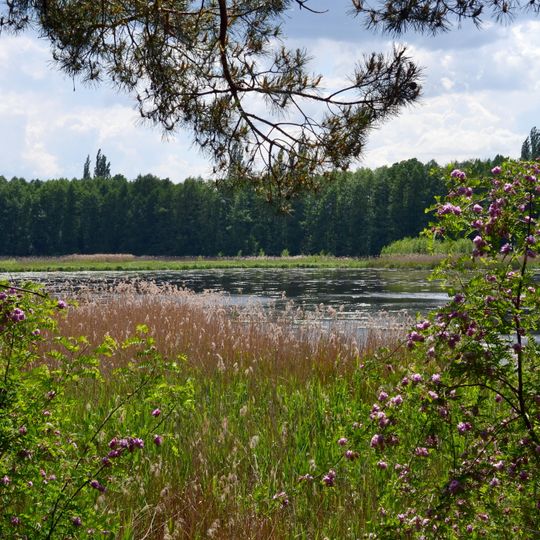 Kraievyd nature reserve