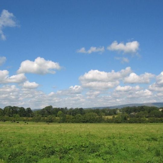 Golden Vale