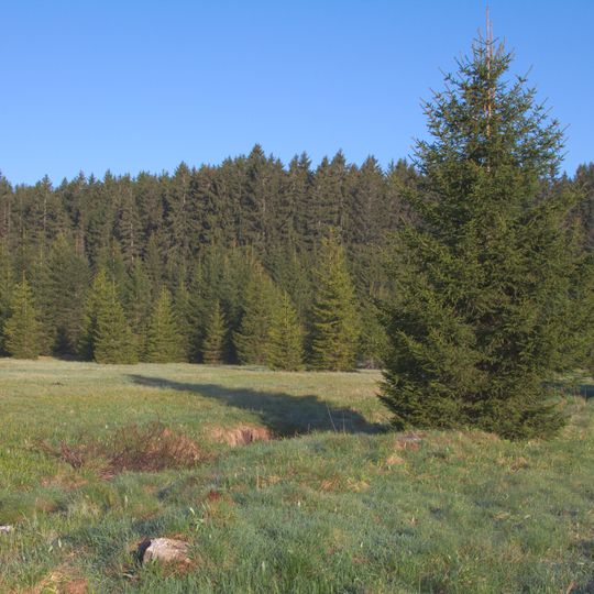 Prameniště Pohořského potoka