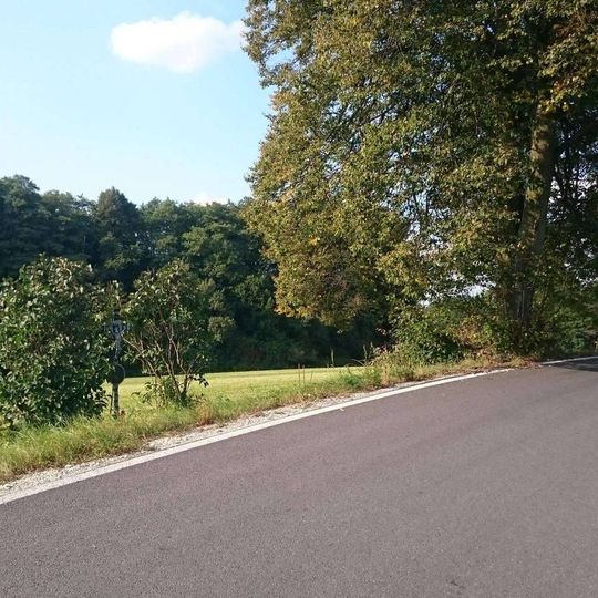 Kříž severně od Krtova u zatáčky