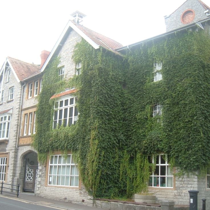 Muzeum Obuwia w Street