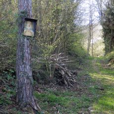 Bildbaum Heidelgrabenweg Buchberg am Kamp