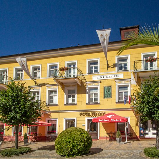 Hotel Tři lilie