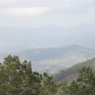 Reserva de la Biosfera Nilgiri