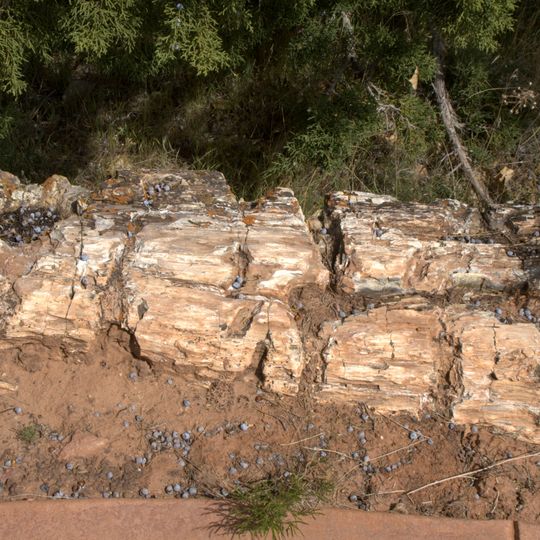 Escalante Petrified Forest State Park