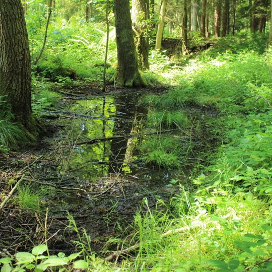 Gelbbauchunken-Habitate nördlich Ascholtshausen