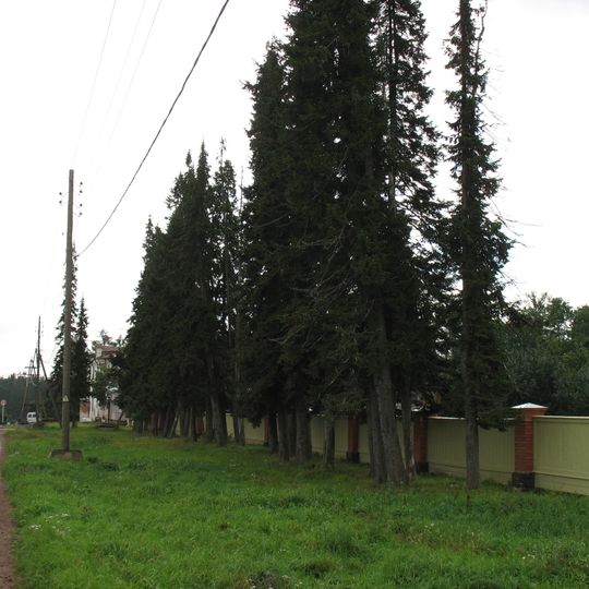 Ограда аптекарского сада с калитками и воротами