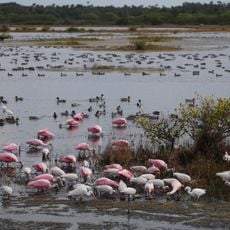 Refuge faunique national Merritt Island