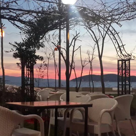 Tesadüf Cafe