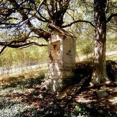 Kaplička severně od Stříbrnic v lese (4)