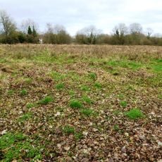 Boxford Water Meadows