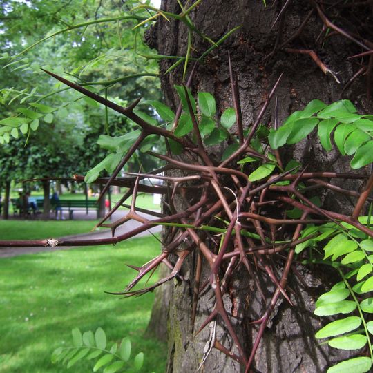 Jardin botanique de Liège