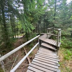 Lothar Path